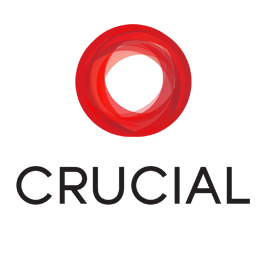 crucial hosting review